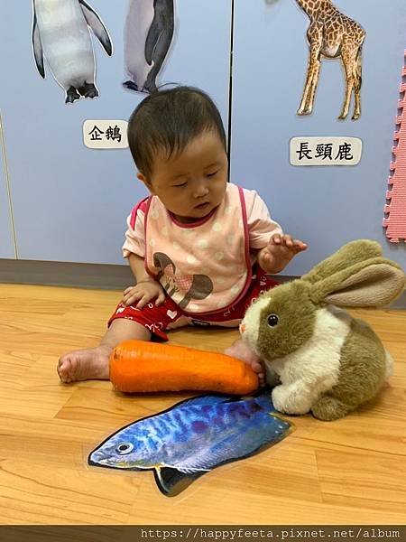 白🐰班～可愛的兔子_190814_0008.jpg