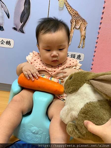 白🐰班～可愛的兔子_190814_0013.jpg