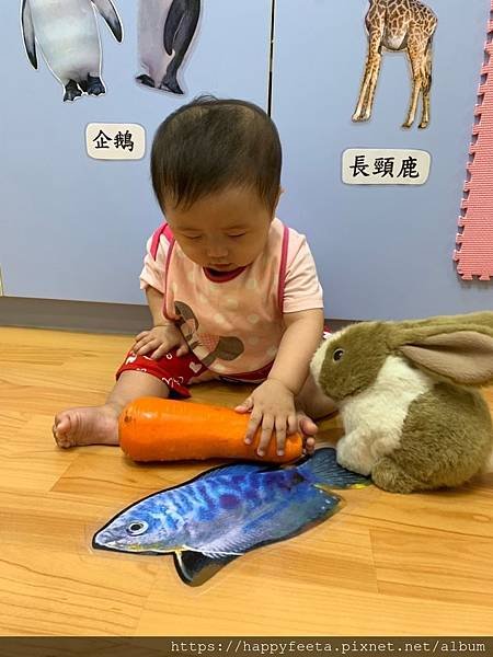 白🐰班～可愛的兔子_190814_0004.jpg