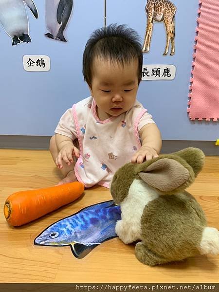 白🐰班～可愛的兔子_190814_0017.jpg