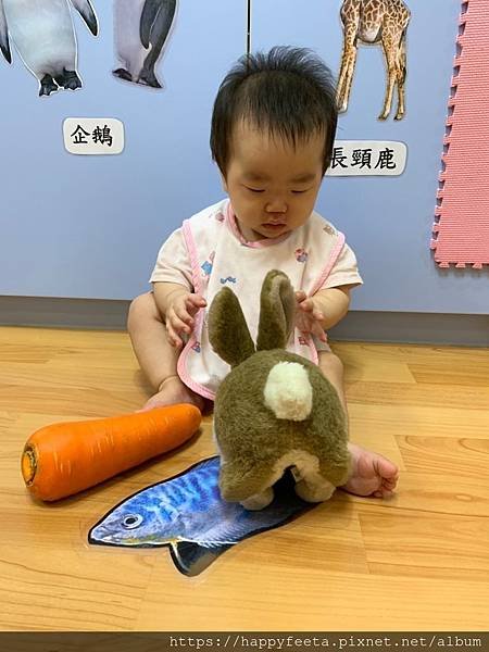 白🐰班～可愛的兔子_190814_0018.jpg