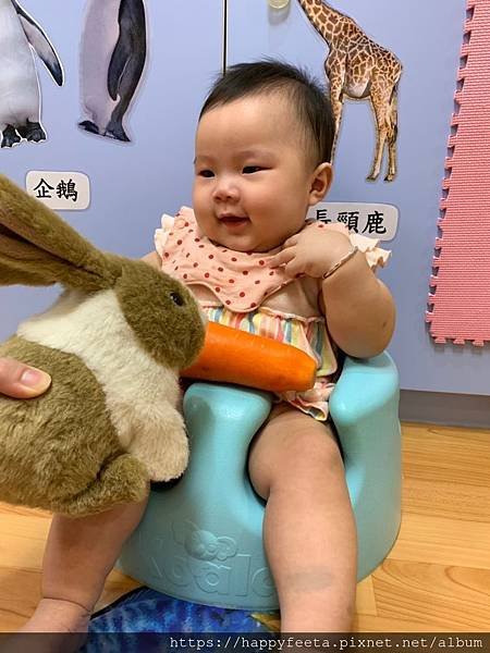白🐰班～可愛的兔子_190814_0016.jpg