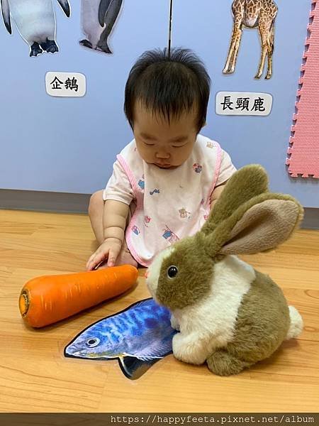 白🐰班～可愛的兔子_190814_0019.jpg