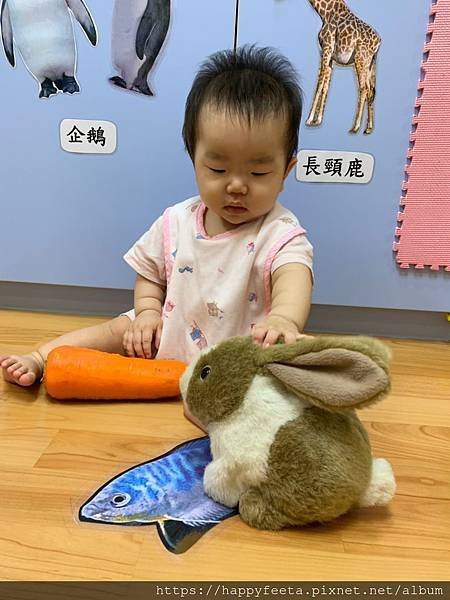 白🐰班～可愛的兔子_190814_0021.jpg