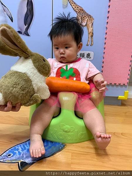 白🐰班～可愛的兔子_190814_0025.jpg