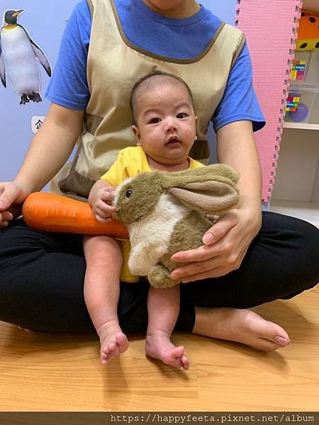 白🐰班～可愛的兔子_190814_0038.jpg