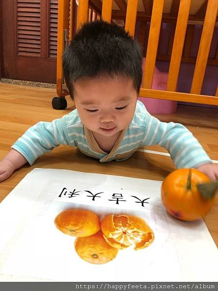 小🐷班～大🍊（吉）大利_200117_0010.jpg