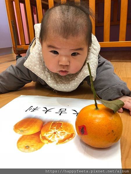 小🐷班～大🍊（吉）大利_200117_0019.jpg