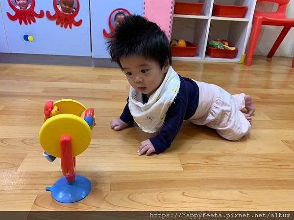 小豬🐷 動物摩天輪🎡（追視）_200311_0007.jpg