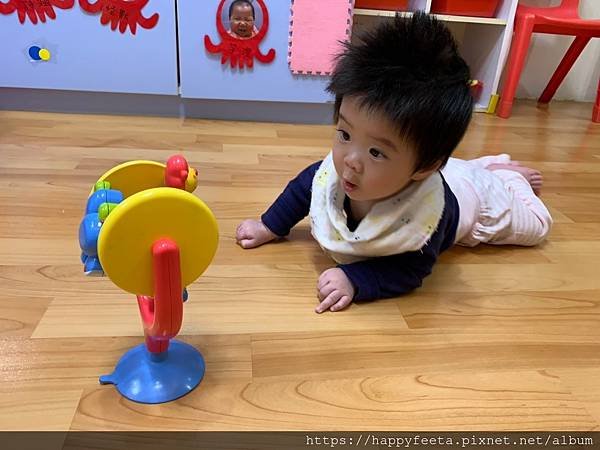 小豬🐷 動物摩天輪🎡（追視）_200311_0009.jpg
