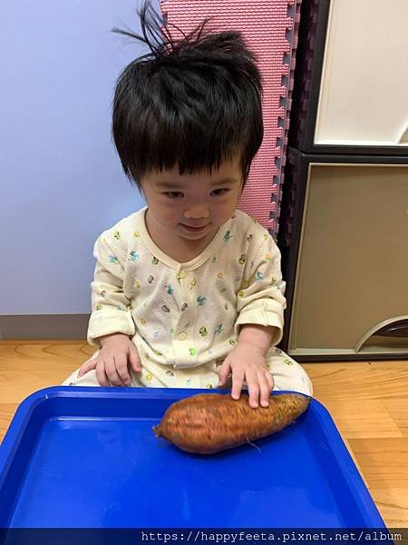 小豬🐷 金山地瓜🍠_200518_0040.jpg