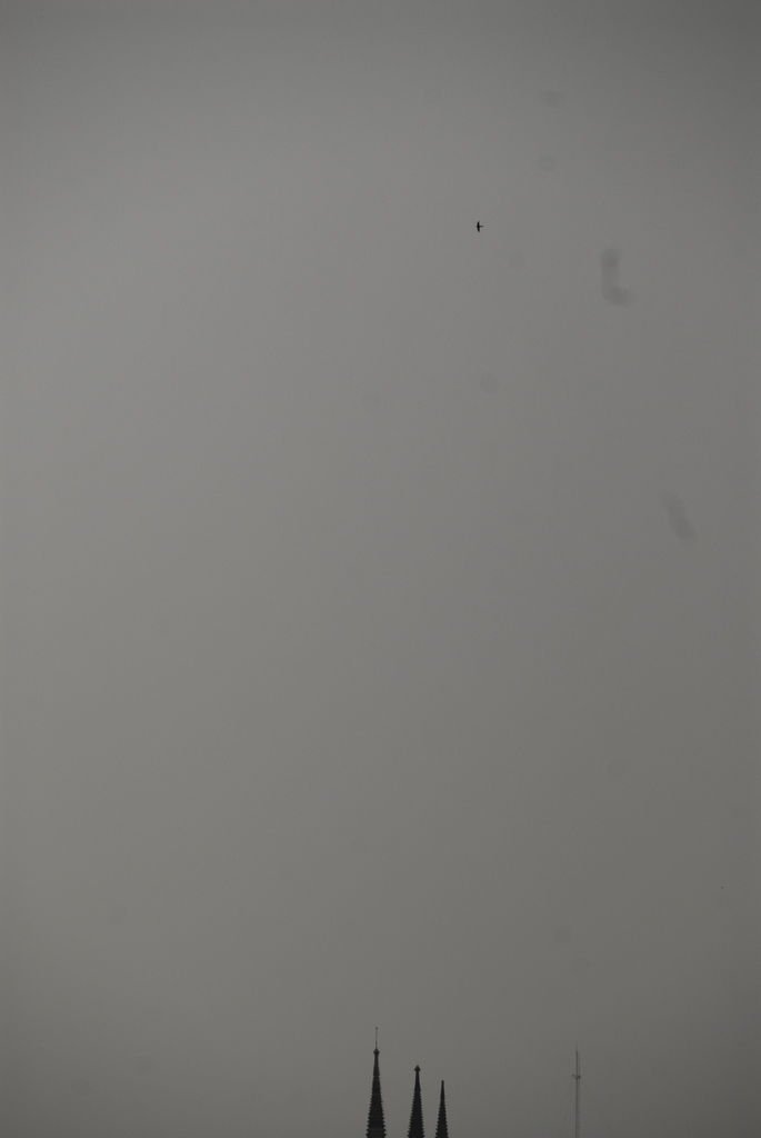 i00102.jpg