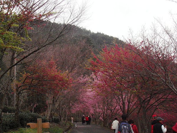 DSC04862.JPG