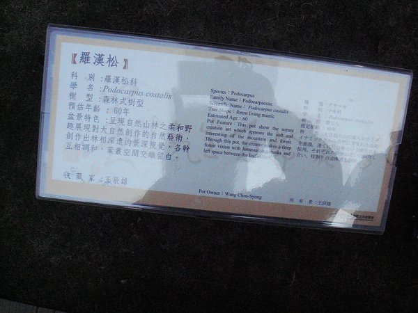 DSC04242.JPG