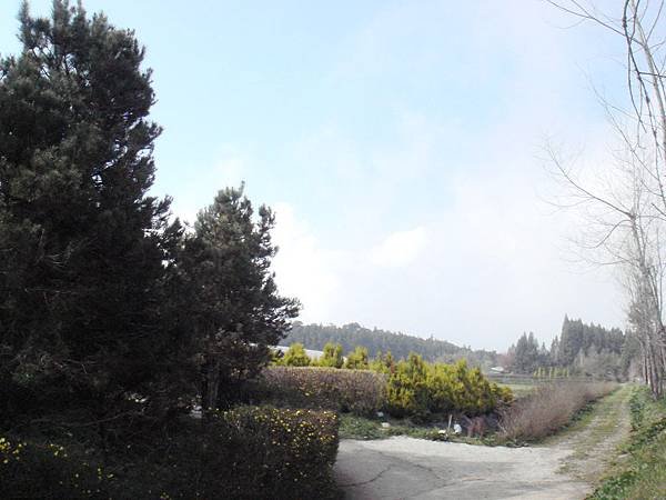 DSC05158.JPG