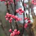 IMG_0306.JPG