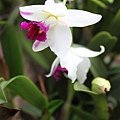 IMG_0387.JPG