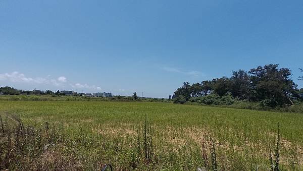 20150620 #3_1556.jpg