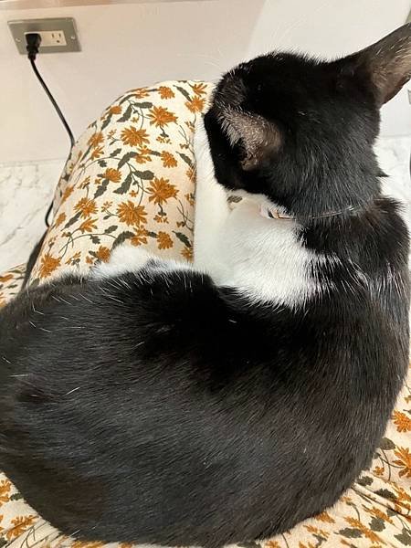 圖片4.jpg