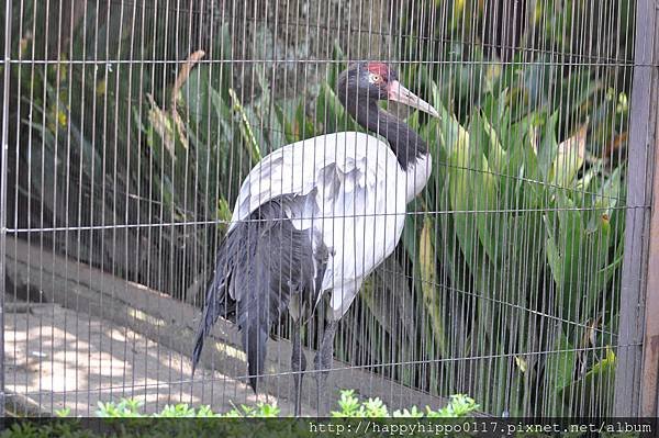 DSC_0347.JPG