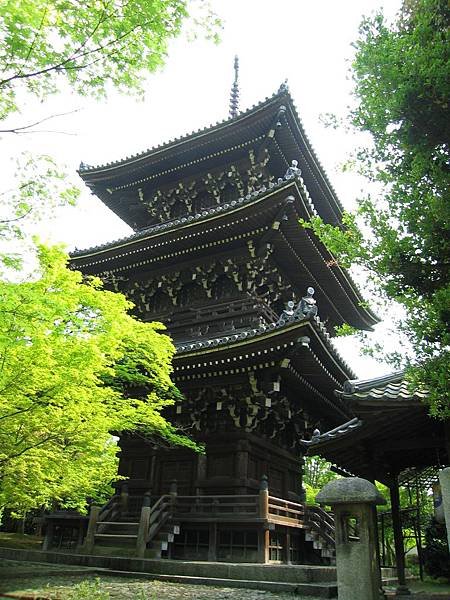 京都真如堂 (7).JPG