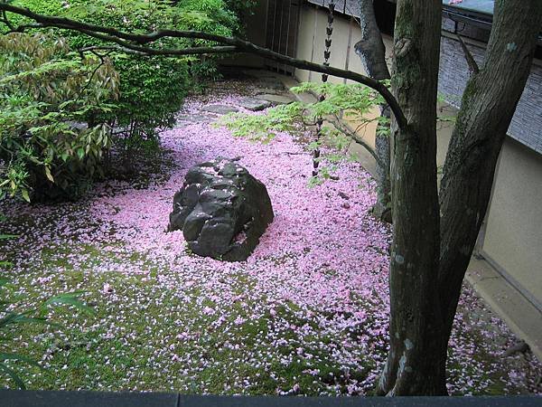 京都真如堂 (38).JPG