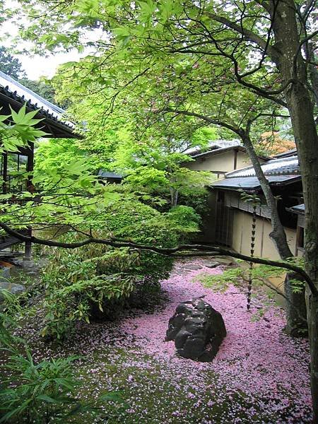 京都真如堂 (39).JPG