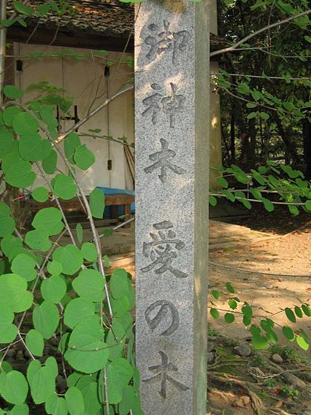 梨木神社 (7).JPG