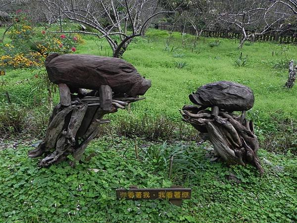 花蓮縣 山月村 (8).JPG