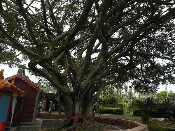 20120602 (13)