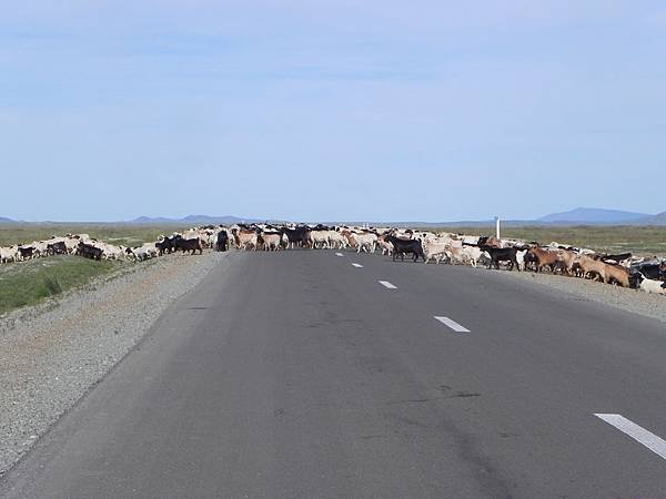 Hustai NP (1).jpg