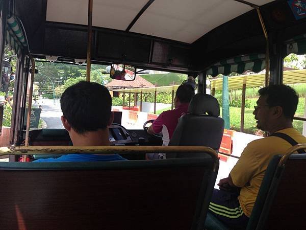 Beach Trams (1).JPG