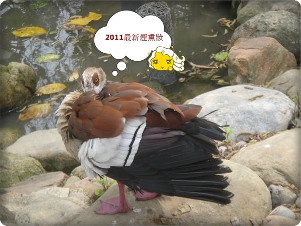 12.JPG