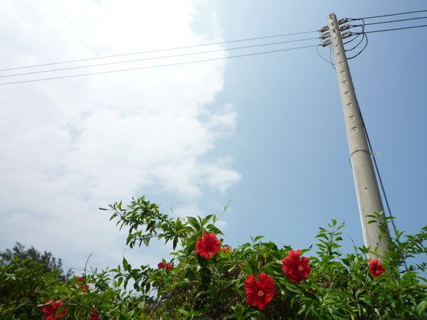 P1080009.JPG