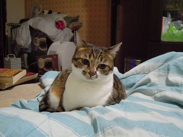 DSCN2816