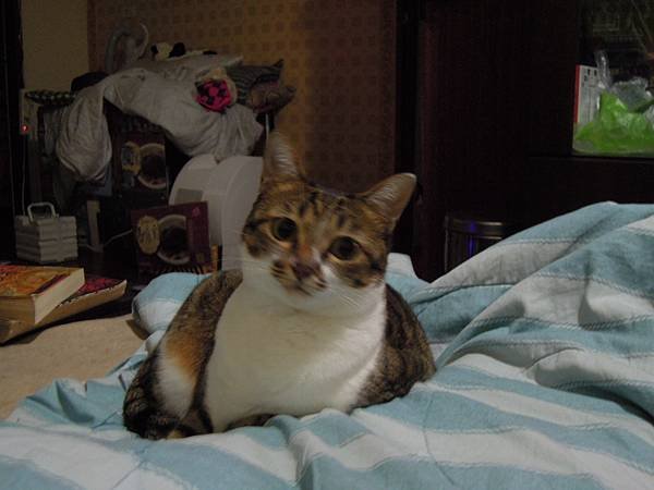 DSCN2821