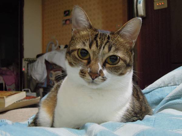 DSCN2823