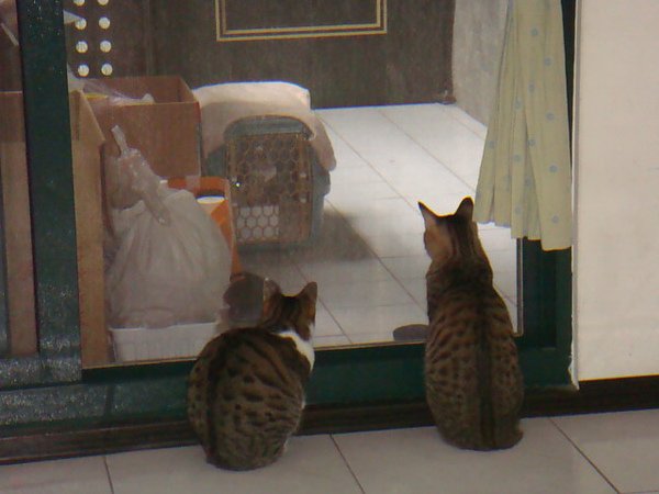 DSC07416.JPG