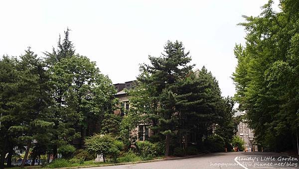 2013-07-01 13-07-01 13-07-0120.jpg