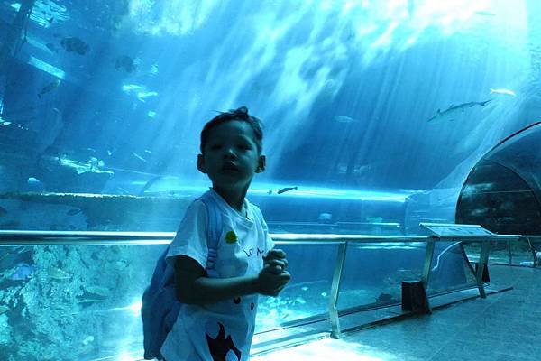 2012.05.01 墾丁之旅 海洋生物博物館 (10)