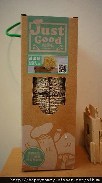 2012 在家種香菇 就是菇黃金菇 (2)