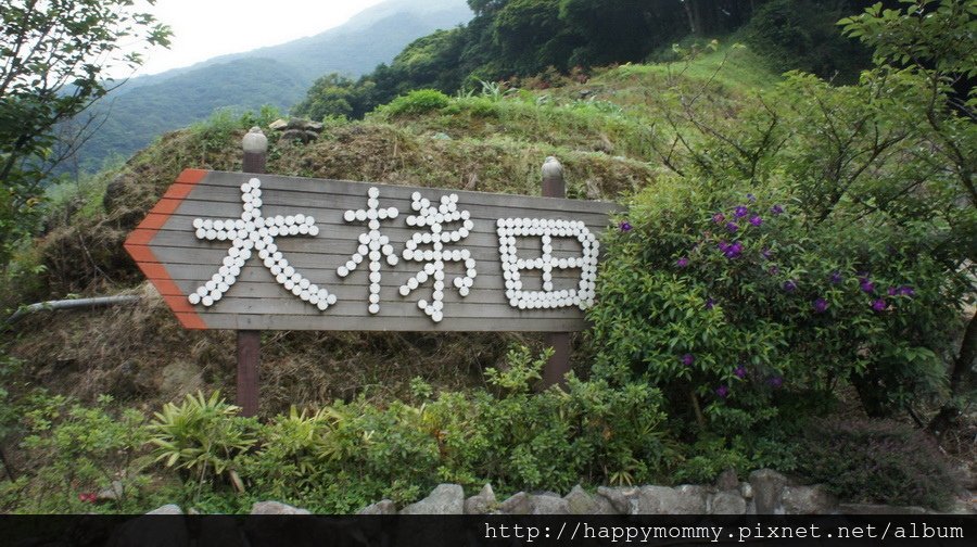 2015.06.14 陽明山竹子湖大梯田賞繡球花 (7).JPG