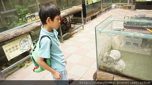 2015.08.07 芝山生態綠園 早午餐 (41).JPG