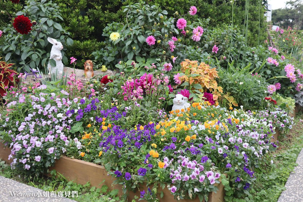 2021台北玫瑰展 花博新生園區台北玫瑰園 (28).JPG