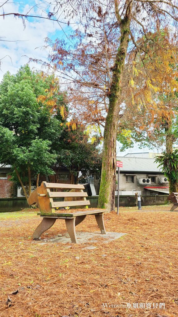 2022.01 宜蘭三星景點搖搖洛克馬公園 落羽松 (6).jpg