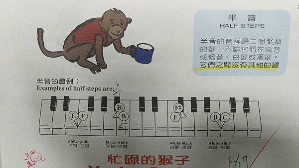 忙碌的猴子.jpg