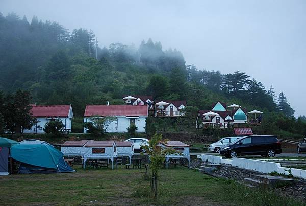 DSC_8524.JPG