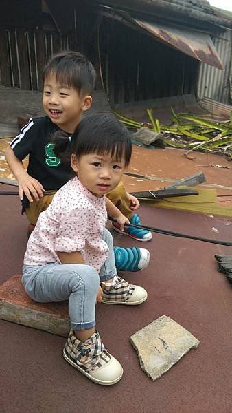 IMAG6481