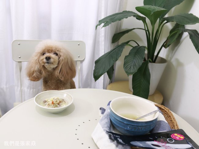 寵膳食堂27.jpg