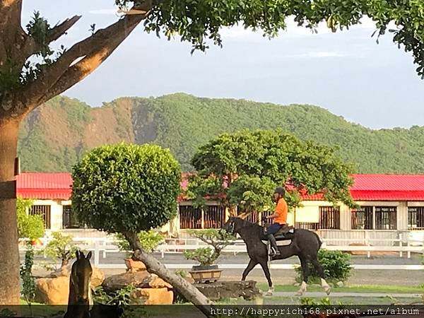 墾丁新體驗：野外騎馬！悠客馬術渡假村